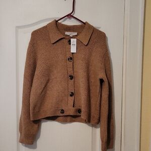 NWT Loft Medium Sweater
